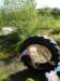 2011HWK 390_small.jpg